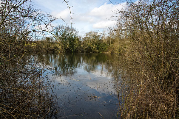 The Rookery with its deep flooded marl pit - 13th March 2022