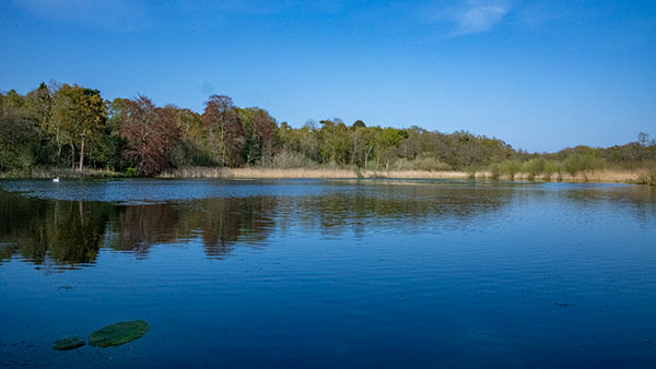 Selbrigg Lake - 16th April 2020