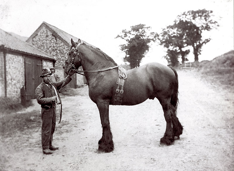 William Fowle at Hole Farm - c.1920