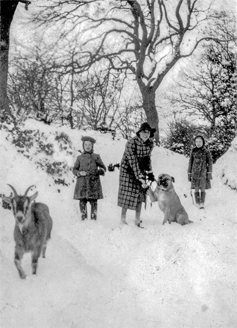 Pond Hills c.1940