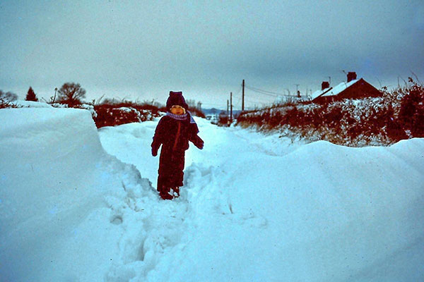 1982