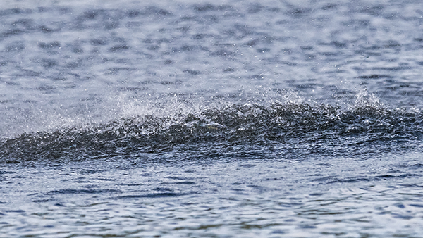 Selbrigg Lake waterspout - 30th July 2020