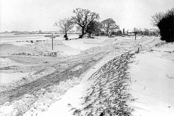 Court Green - 1979