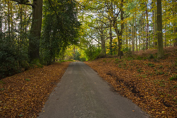 Pond Hills Road - 8th November 2021