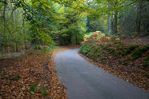 Pond Hills Road - 8th November 2021