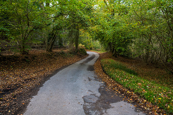 Pond Hills Road - 8th November 2021