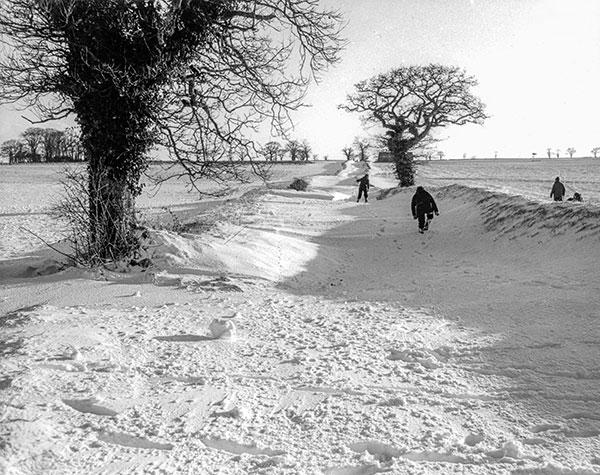 Marlpit Lane looking east with the New Bullock Barn in the distance - 1979