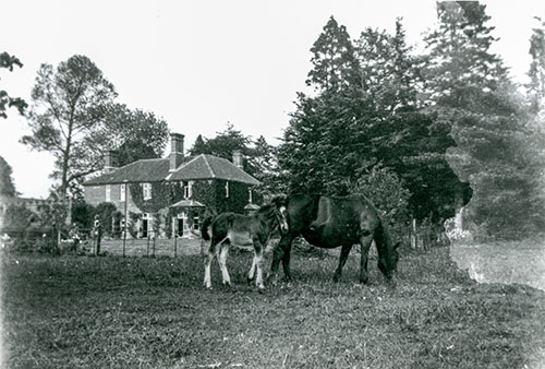Iron fence - c.1950