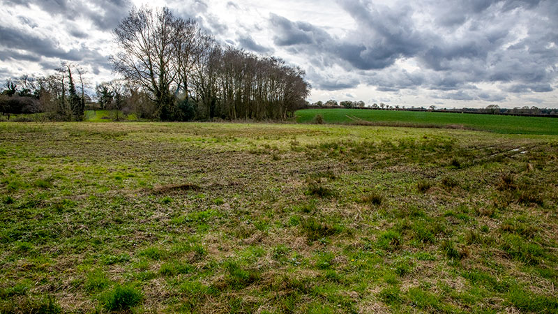 11th March 2020
