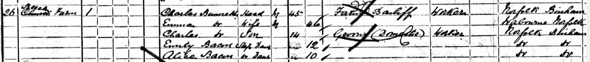 Census 1901