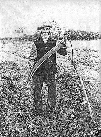 William Dagless