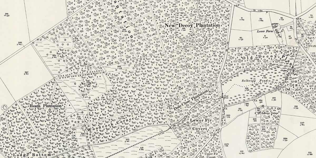 O. S. Map 1904
