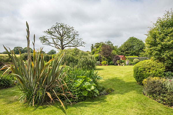 Garden 01 - Brownwood