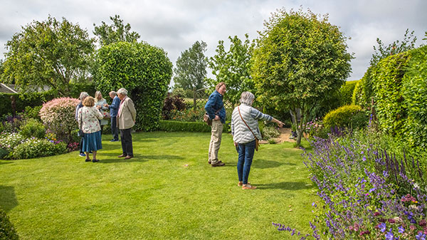 Garden 08 - Sherwood